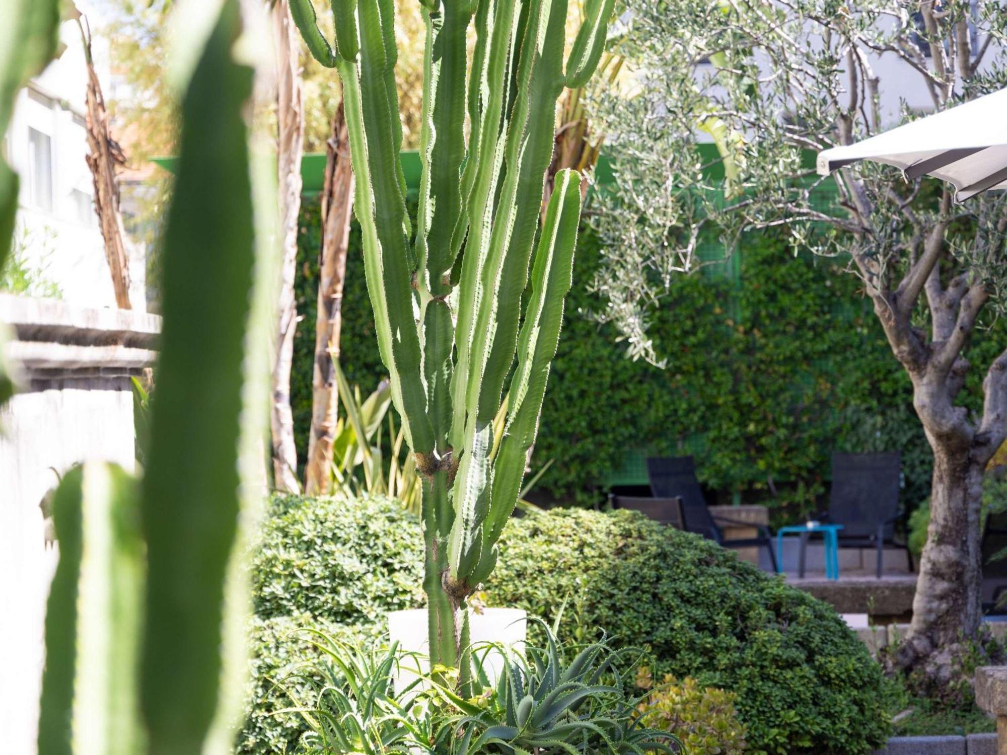 Mercure Nice Centre Notre Dame Bagian luar foto